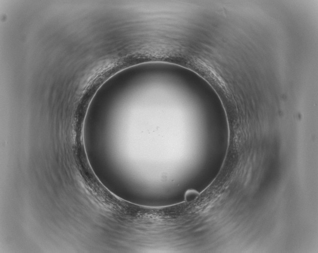 X0000086950635200704161454
