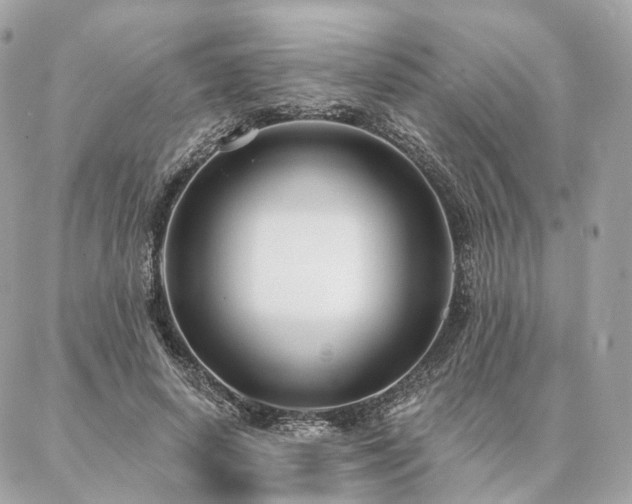 X0000086950642200704161455