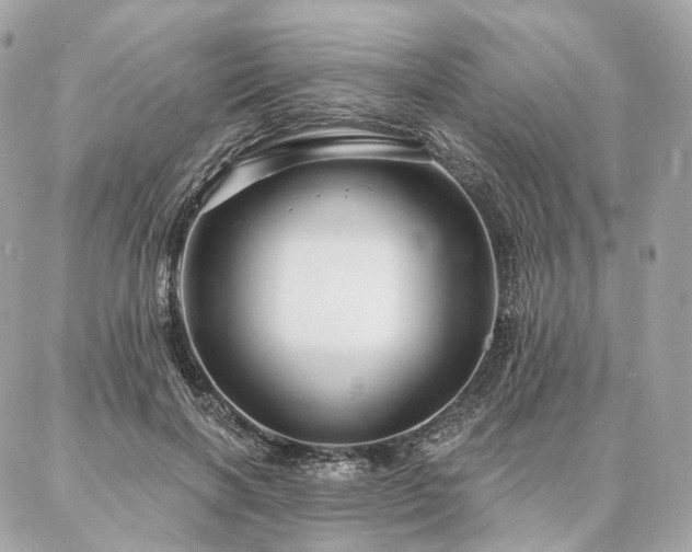 X0000086950646200704161455