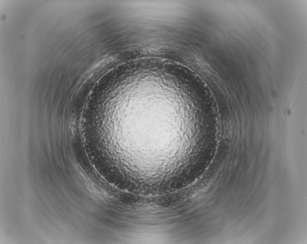 X0000086950648200704161455