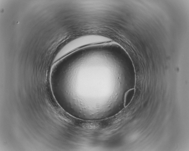 X0000086950652200704161455