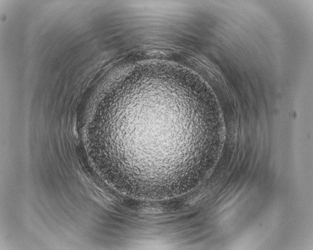 X0000086950653200704161455