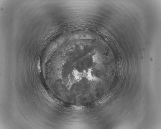 X0000086950654200704161455