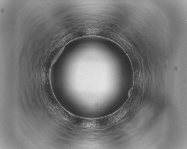 X0000086950655200704161455