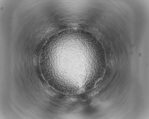 X0000086950658200704161455
