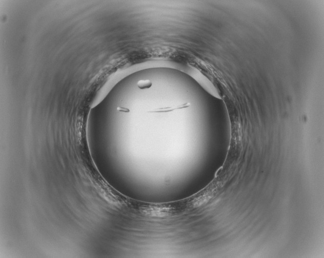X0000086950664200704161455