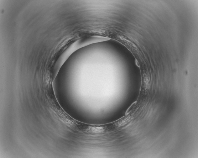 X0000086950665200704161455