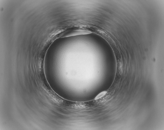 X0000086950668200704161455