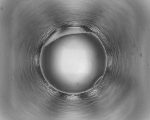 X0000086950669200704161455