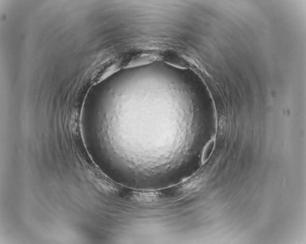 X0000086950671200704161455