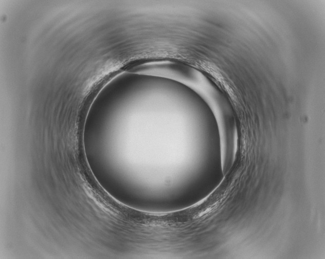 X0000086950677200704161454