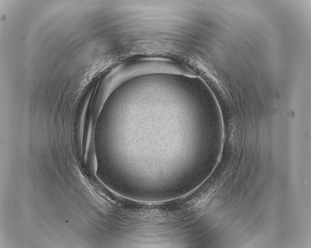 X0000086950685200704161454