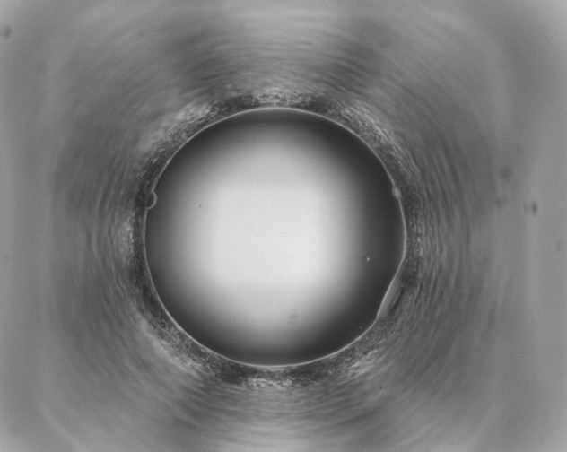 X0000086950690200704161454