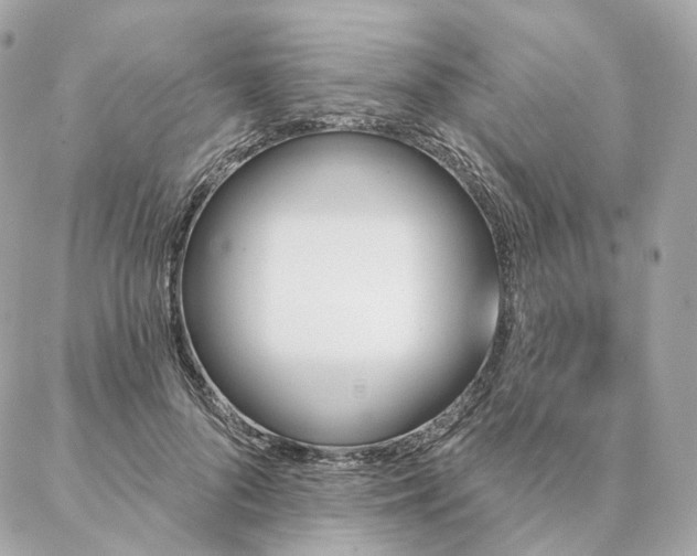 X0000086950696200704161454