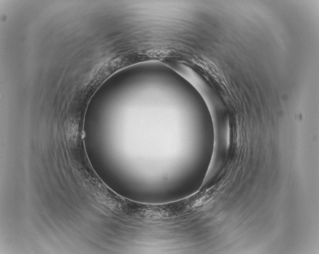 X0000086950697200704161454
