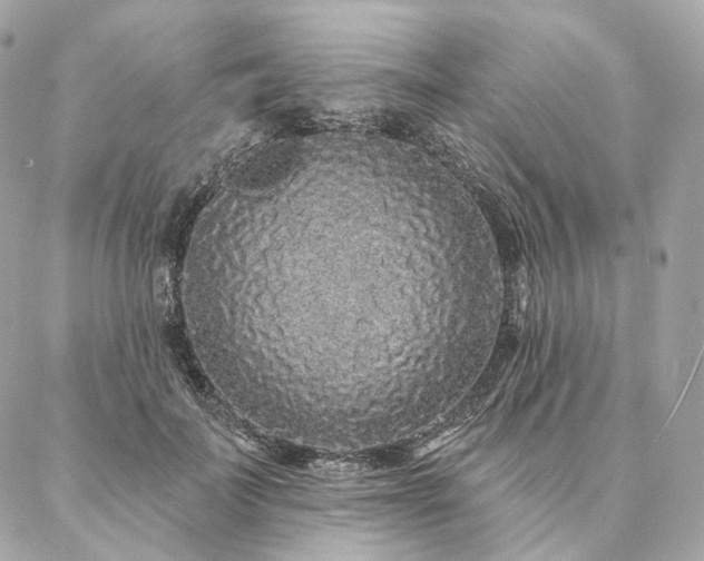 X0000086950699200704161454