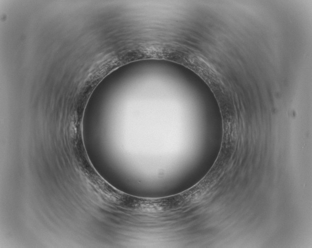 X0000086950702200704161454