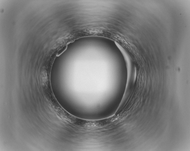 X0000086950704200704161454