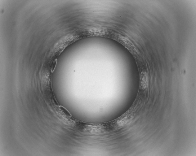 X0000086950713200704161454