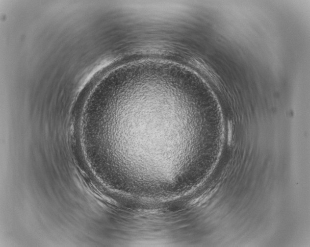 X0000086950723200704161453