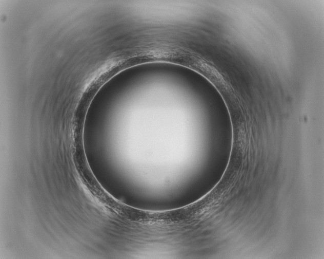 X0000086950730200704161453