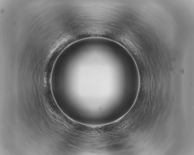X0000086950731200704161453