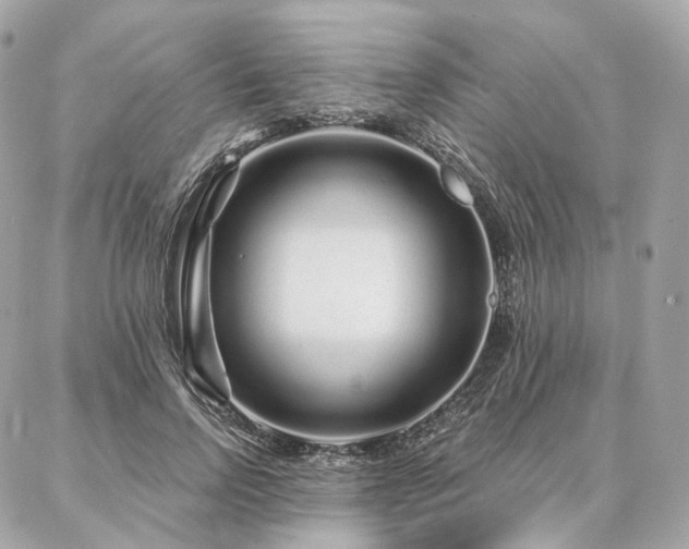 X0000086950742200704161453