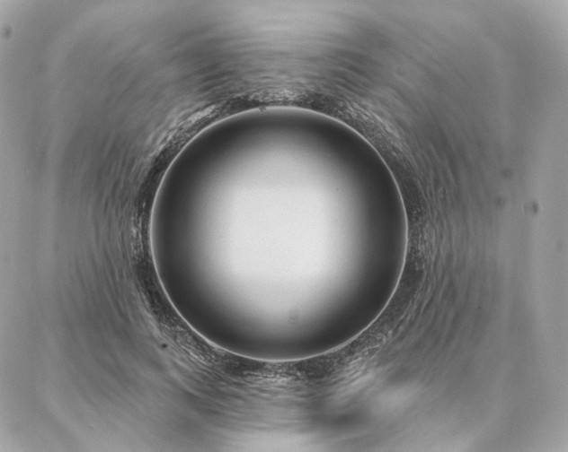 X0000086950743200704161453