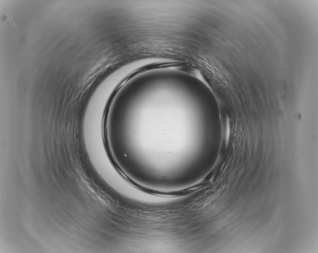 X0000086950744200704161453