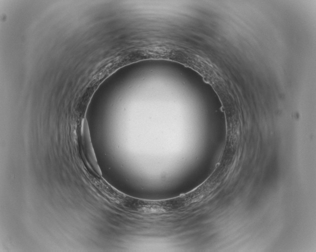 X0000086950749200704161453