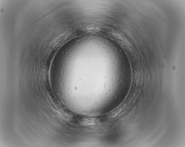 X0000086950757200704161453