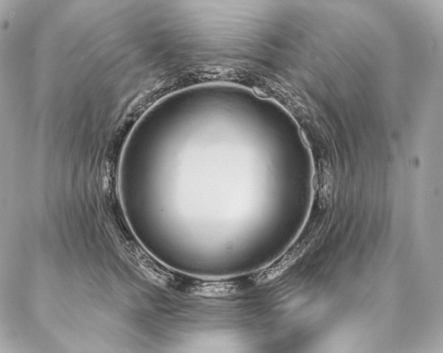 X0000086950758200704161453