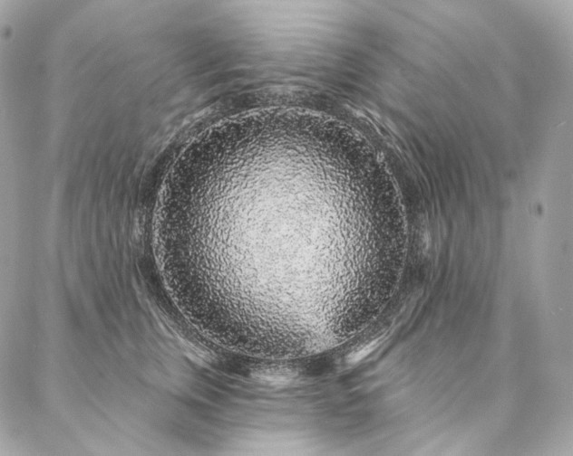 X0000086950759200704161453