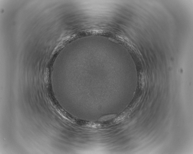 X0000086950760200704161453