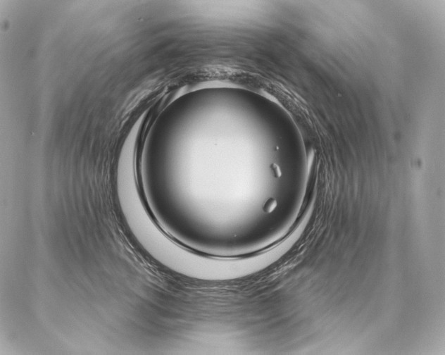 X0000086950762200704161453