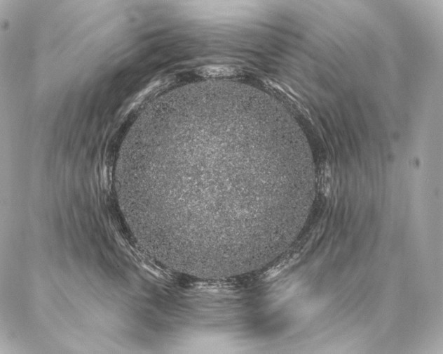 X0000086950763200704161453