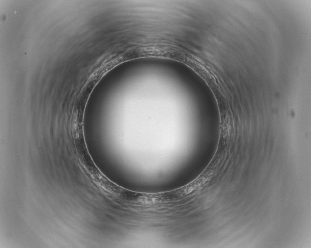 X0000086950764200704161453