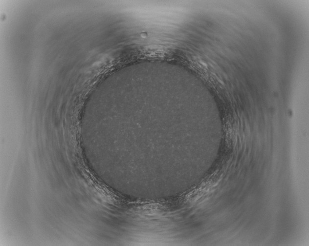 X0000086950769200704161453