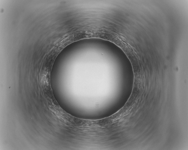 X0000086950770200704161453