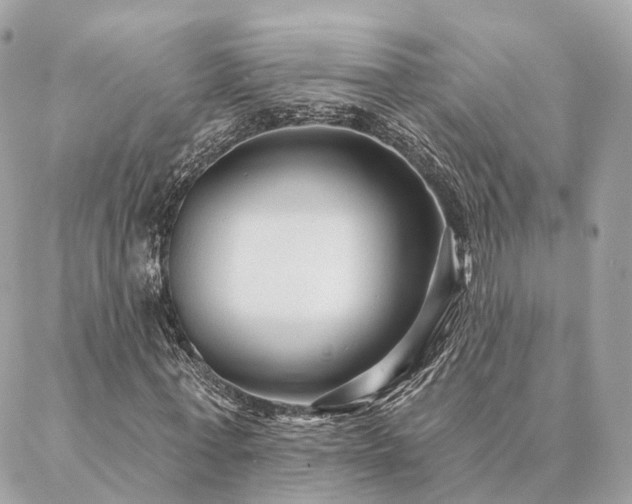 X0000086950771200704161453