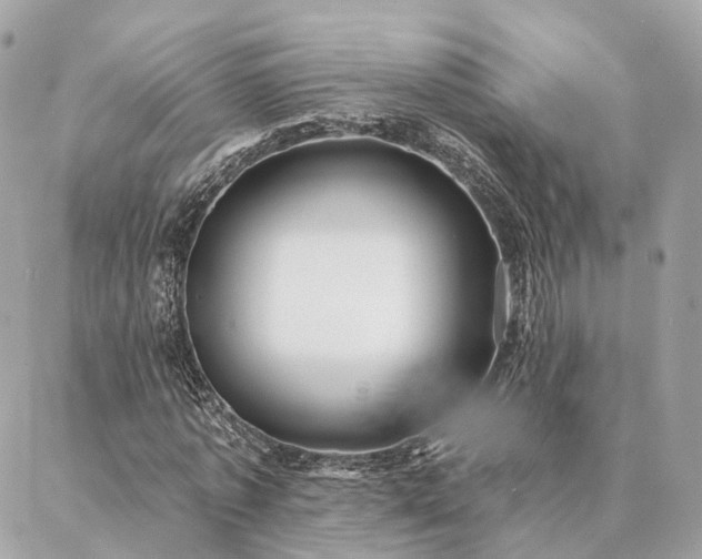 X0000086950773200704161453
