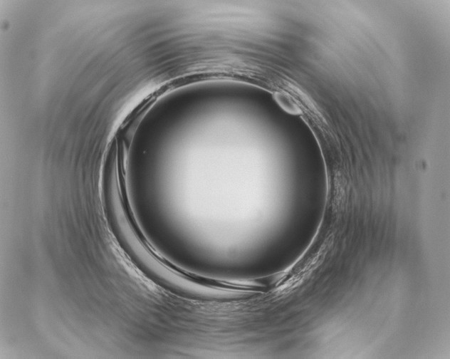 X0000086950788200704161452