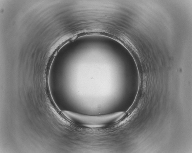 X0000086950789200704161452