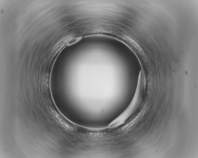 X0000086950793200704161452