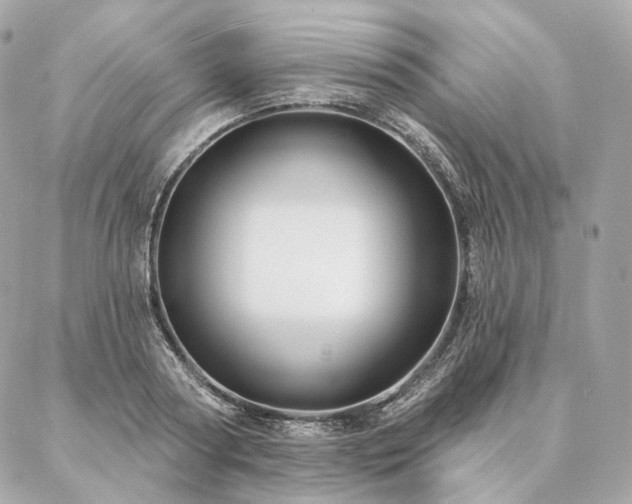 X0000086950794200704161452