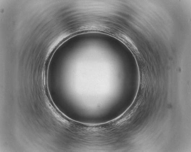 X0000086950796200704161452