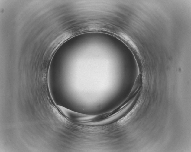 X0000086950801200704161452