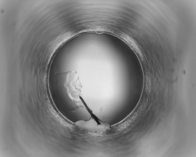 X0000086950805200704161452