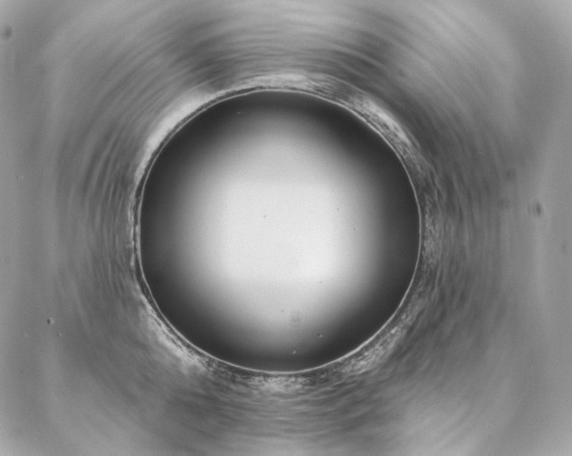 X0000086950808200704161452