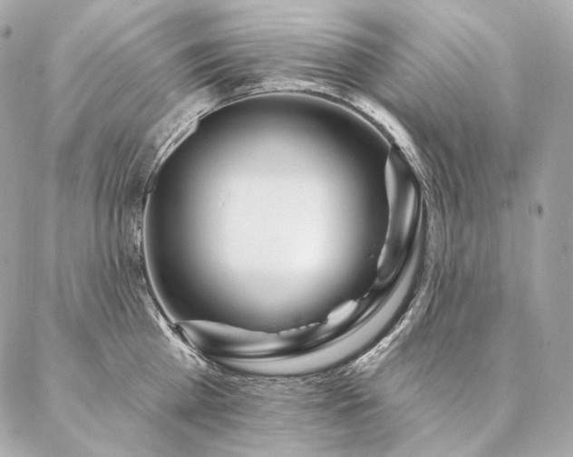 X0000086950809200704161452
